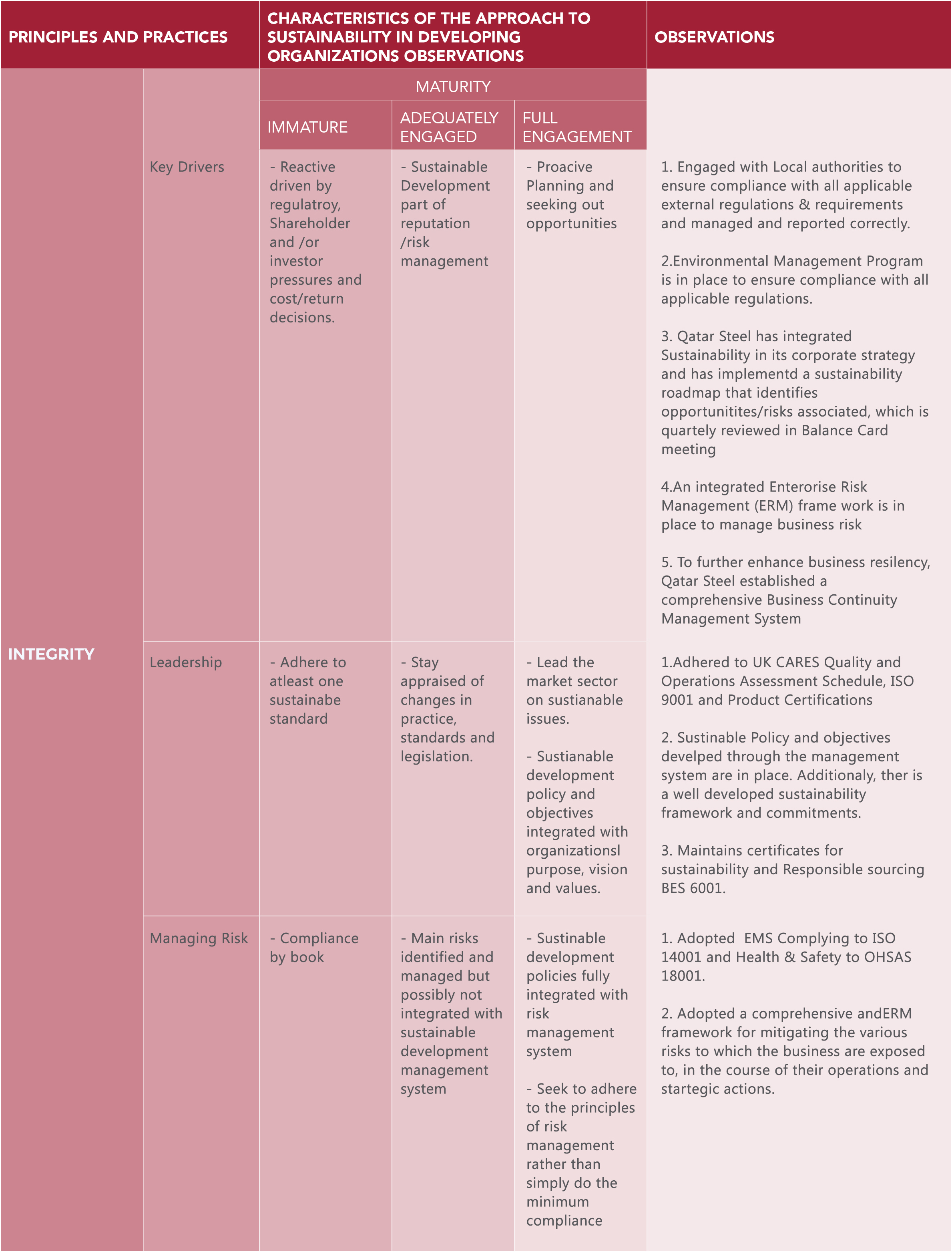 Maturity matrix